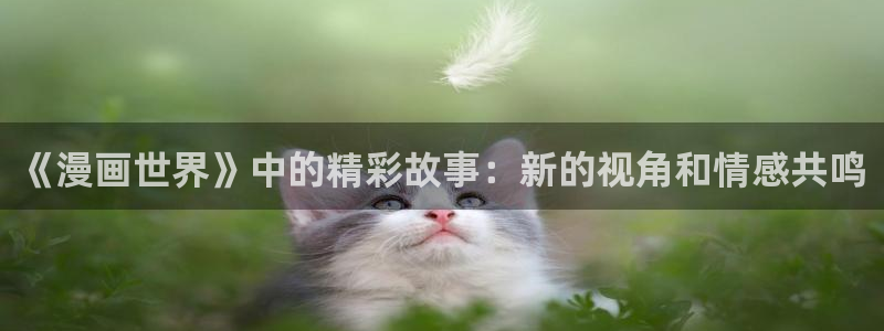奇漫屋怎么免费看漫画：《漫画世界》中的精彩故事：新的视角和情感共鸣