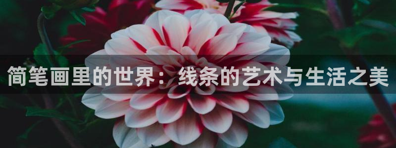 凤逆天下奇漫屋：简笔画里的世界：线条的艺术与生活之美